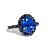 Le Magnifique - Ring with Kyanite and Blue Sapphires, 18k Blackened Gold